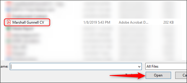 درج فایل PDF در اکسل